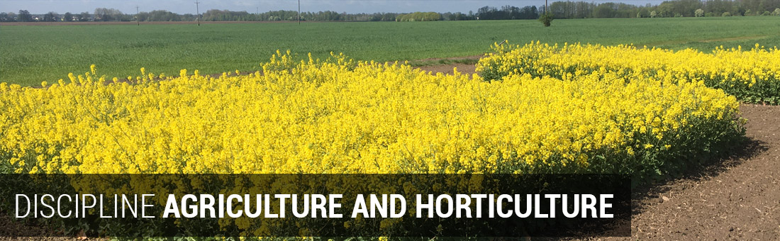 DISCIPLINE AGRICULTURE AND HORTICULTURE