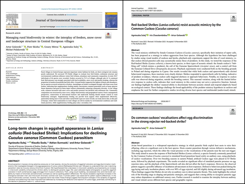 Agnieszka Sulej 2026